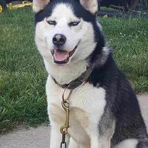 Meet your Posher, Leann